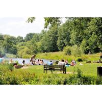 699_6344 Grillen auf einer sonnigen Wiese des Harburger Aussenmühlenteichs. | Stadtpark Hamburg Harburg.